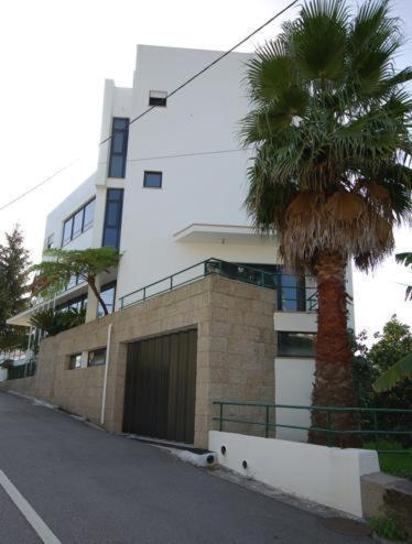 Hotel O Cortico Sever do Vouga Eksteriør billede